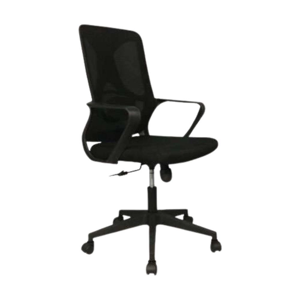Executive Chair | C-286